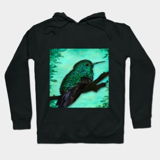 Coloured Hummingbird Hoodie